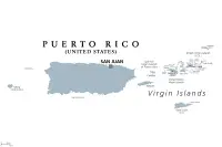 Pomapoo Züchter in Puerto Rico,Estado Libre Asociado de Puerto Rico Pomapoo Züchter in Puerto Rico,Estado Libre Asociado de Puerto Rico