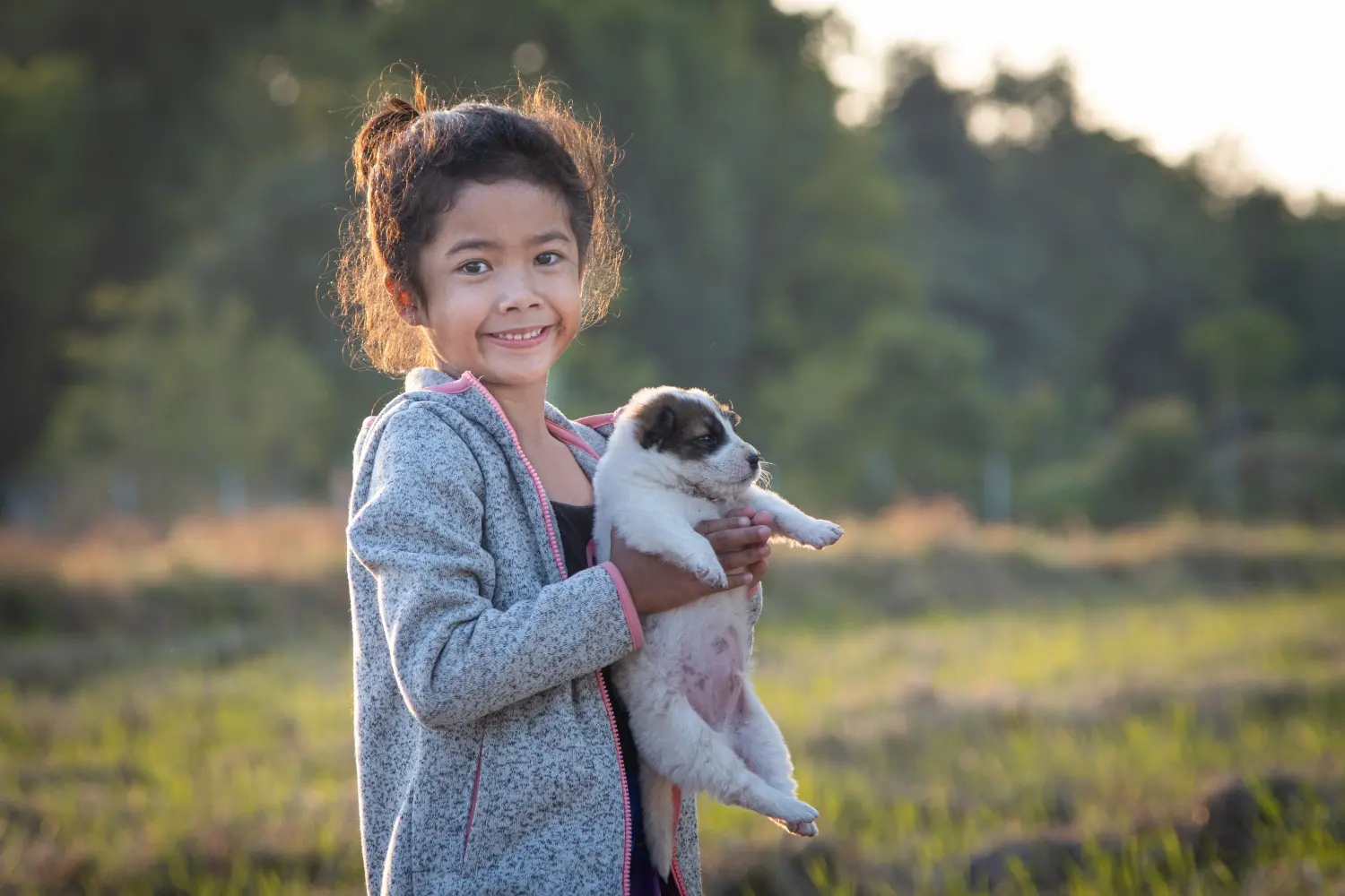 Thai Bangkaew Dog - Meine Liebe zu dieser Hunderasse. Warum ich Thai Bangkaew Dog liebe