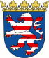 Griffon Nivernais Züchter in Hessen,Taunus, Westerwald, Odenwald